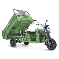 Грузовой электротрицикл Rutrike D5 1700 гидравлика (60V1200W) темно-зеленый