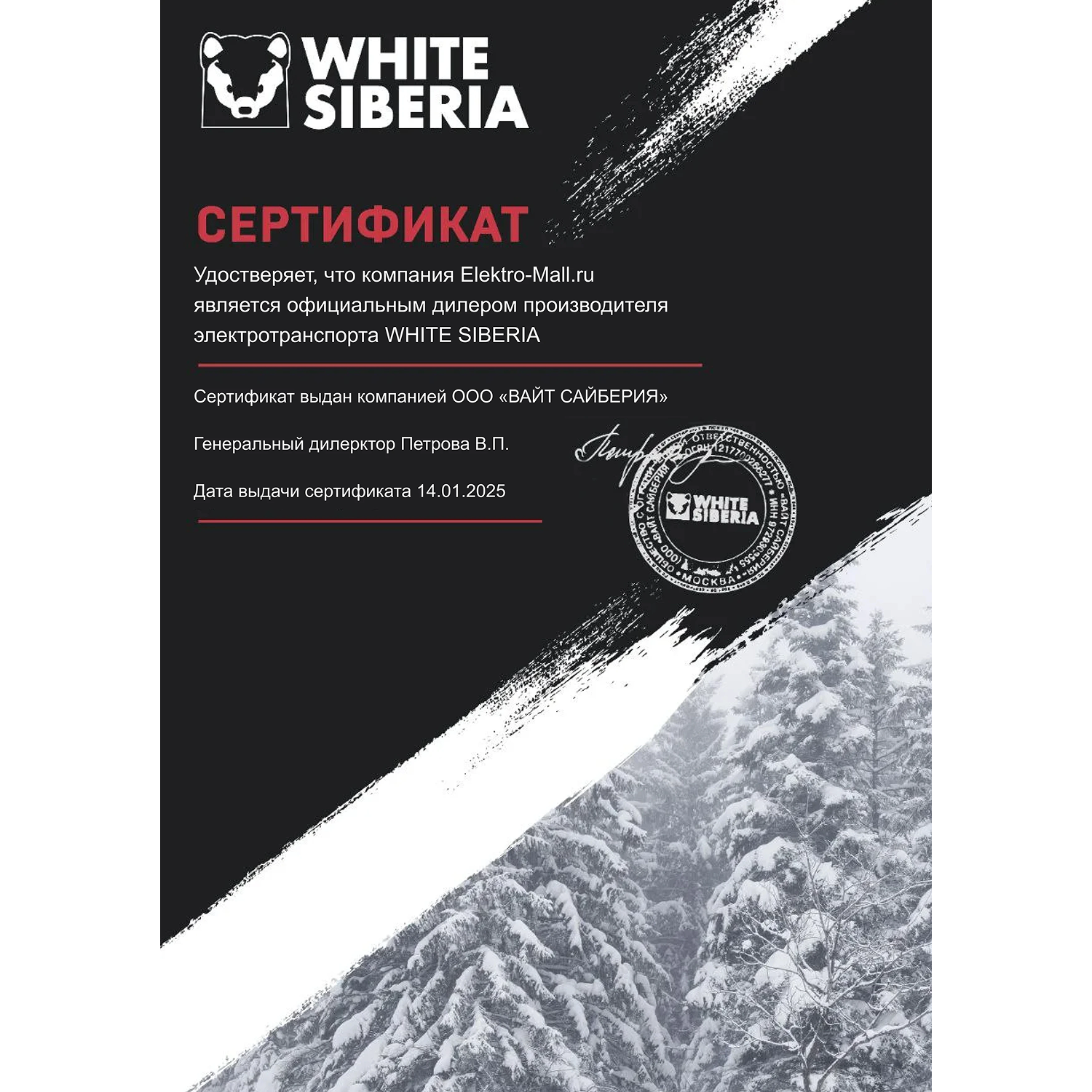 Электромотоцикл WHITE SIBERIA SUR-RON X Light bee 6000W 60V40AH фиолетовый 15 Электромотоцикл WHITE SIBERIA SUR-RON X Light bee 6000W 60V40AH фиолетовый 15