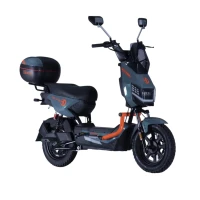 Электровелосипед Ecodemes EVO 3-40