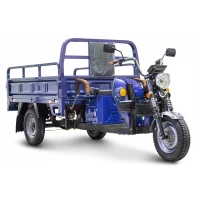 Грузовой электротрицикл Rutrike D4 1800 60V1500W синий
