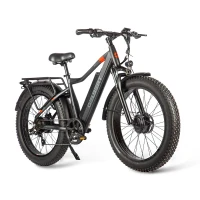 Электровелосипед Eltreco Gelbert Pegas 4 DUAL PRO MAX